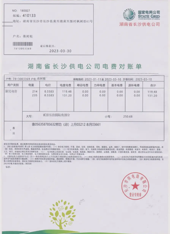 CHINA STATE POWER GRID utility bill Word and PDF template